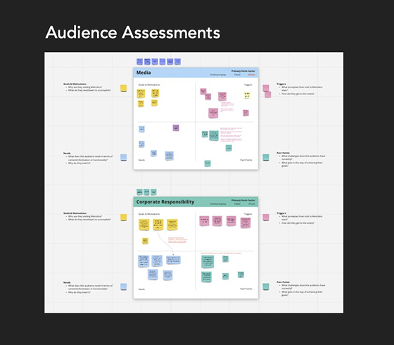 Audience Assessments